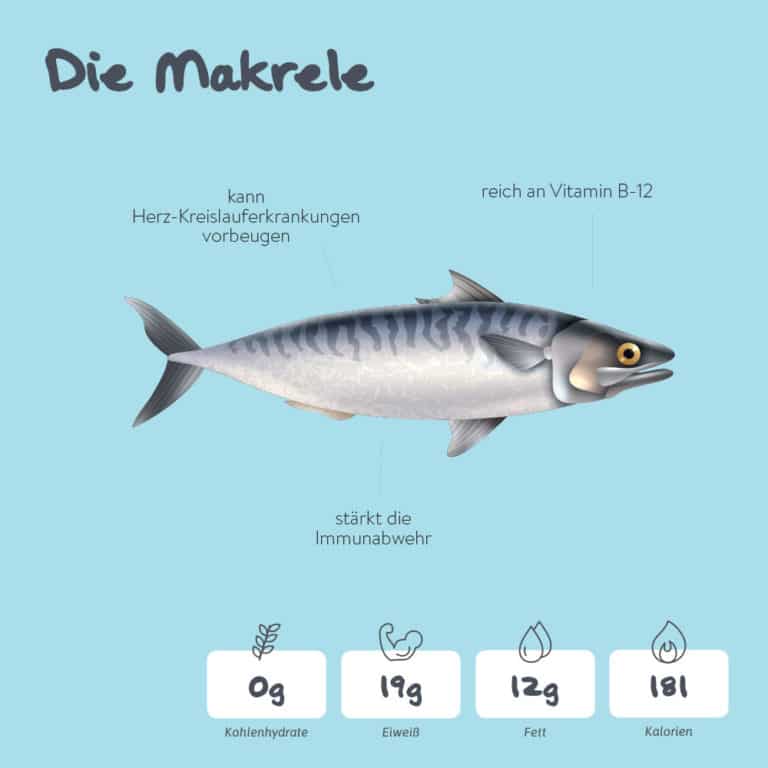 Die Makrele - Essen ohne Kohlenhydrate